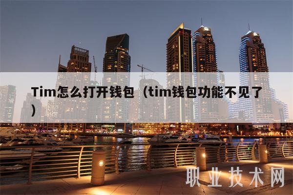 Tim怎么打开钱包（tim钱包功能不见了）-第1张图片-binance下载