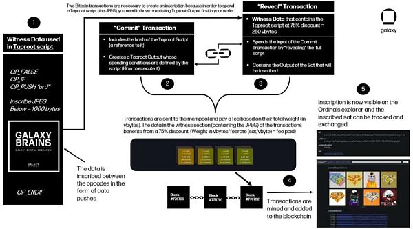 万字报告详解比特币 NFT 及其前景-第5张图片-binance下载