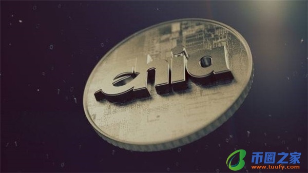 派币它真的值超过 300,000 美元吗？-第1张图片-binance下载