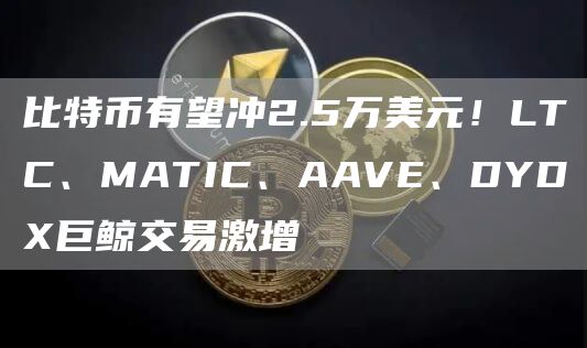 比特币有望冲2.5万美元！LTC、MATIC、AAVE、DYDX巨鲸交易激增1