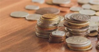 ZOO币近期的行情如何