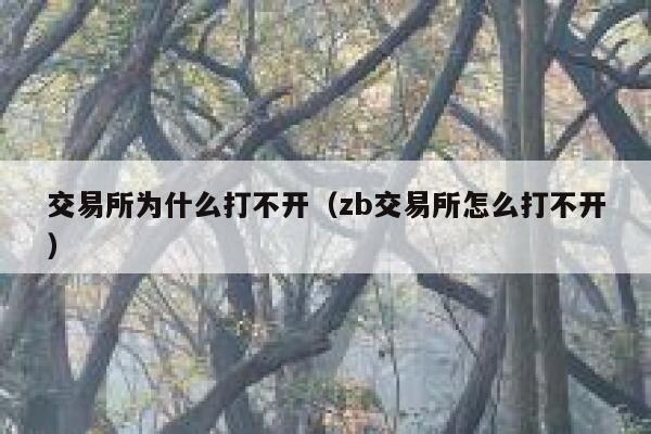 交易所为什么打不开(zb交易所怎么打不开)-第1张图片-binance下载 交易所为什么打不开(zb交易所怎么打不开)-第1张图片-binance下载