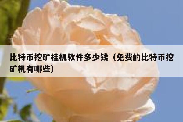 比特币挖矿挂机软件多少钱（免费的比特币挖矿机有哪些）-第1张图片-binance下载