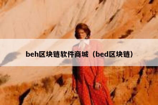beh区块链软件商城（bed区块链）-第1张图片-binance下载