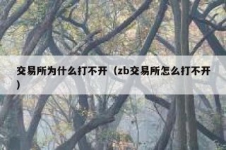 交易所为什么打不开（zb交易所怎么打不开）