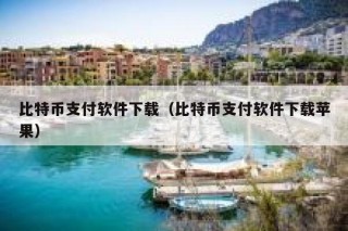 比特币价手机上的app,怎样交易了？能不能直接提现到支付宝了？