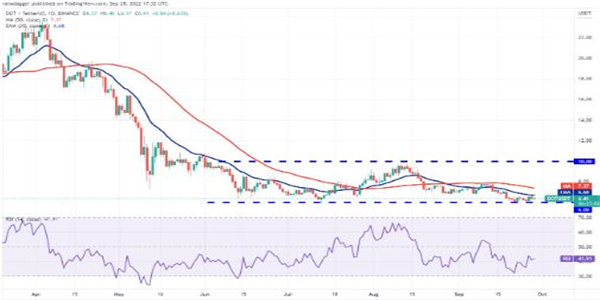 波卡币现在多少钱一个 DOT今日最新行情K线-第1张图片-binance下载