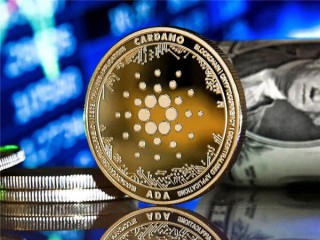 满币网coinbn(满币网的骗局)