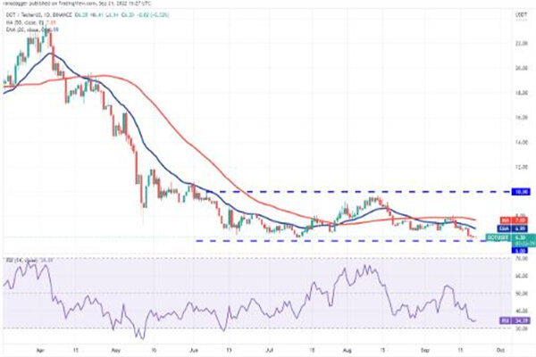 波卡币价格今日行情 DOT币最新行情资讯-第2张图片-binance下载