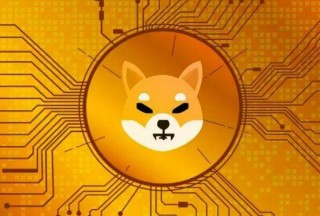 维卡币现在的情况怎么样 – 维卡币到底怎么样