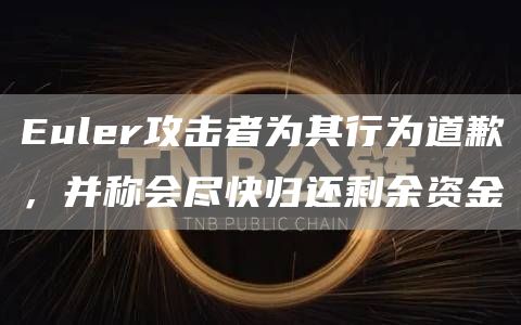 Euler攻击者为其行为道歉，并称会尽快归还剩余资金1