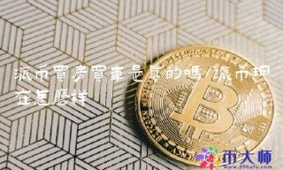 派币买房买车是真的吗