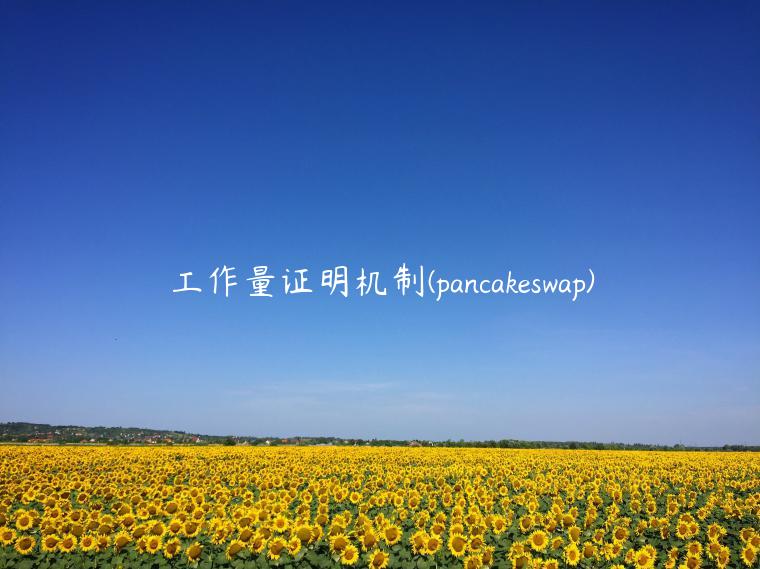 工作量证明机制 - pancakswap-第1张图片-binance下载 工作量证明机制 - pancakswap-第1张图片-binance下载