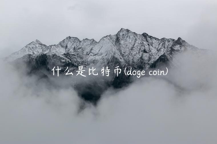 什么是比特币 - dog coin-第1张图片-binance下载