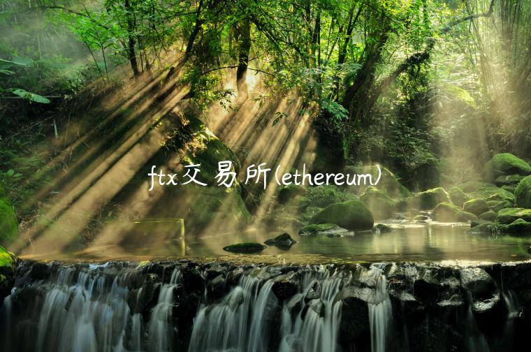 ft交易所 - thrum-第1张图片-binance下载