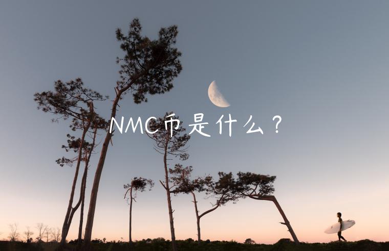 NMC币是什么？-第1张图片-binance下载