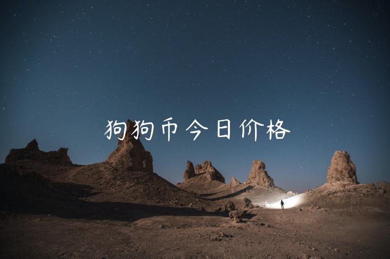 狗狗币今日价格-第1张图片-binance下载