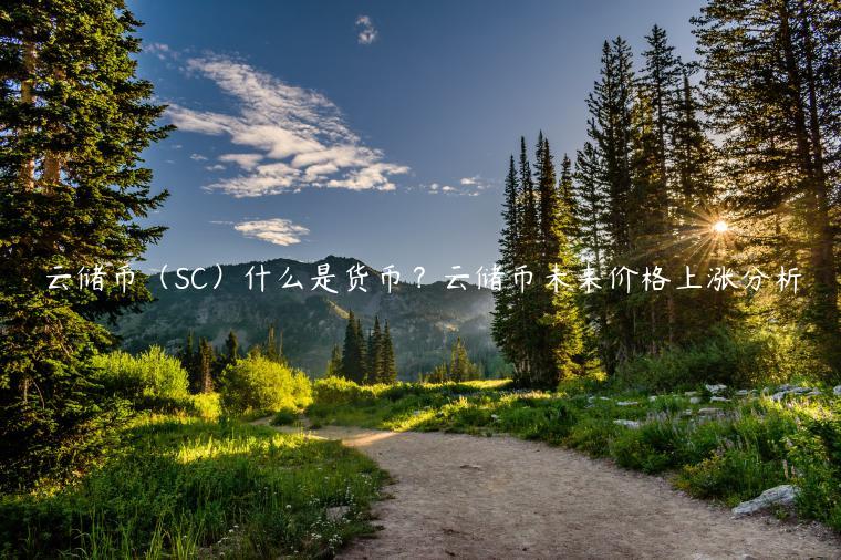 云储币（SC）什么是货币？云储币未来价格上涨分析-第1张图片-binance下载