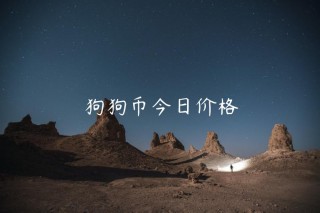 狗狗币今日价格