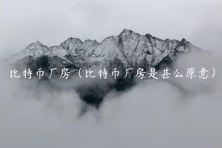 比特币厂房（比特币厂房是甚么原意）-第1张图片-binance下载