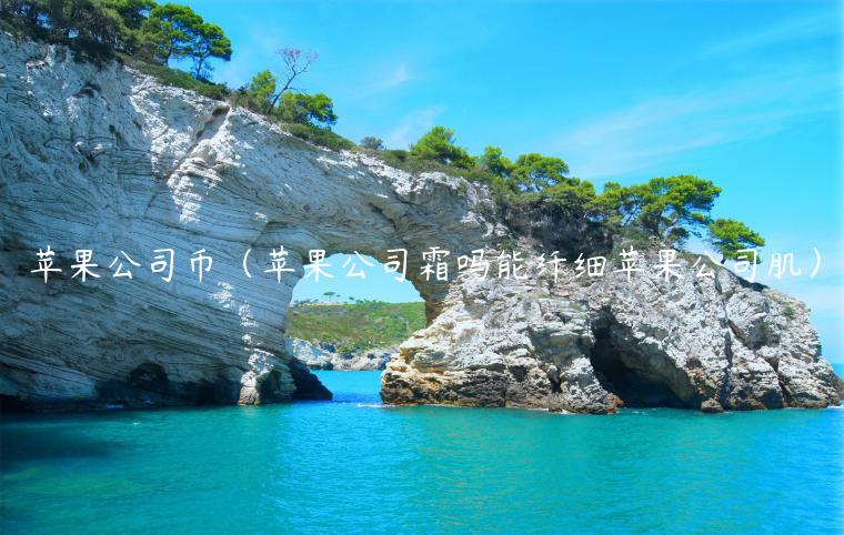 苹果公司币（苹果公司霜吗能纤细苹果公司肌）-第1张图片-binance下载