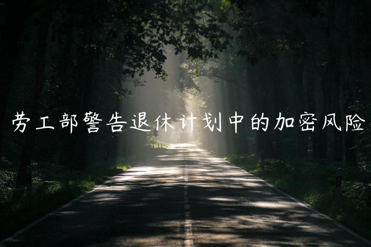 劳工部警告退休计划中的加密风险-第1张图片-binance下载