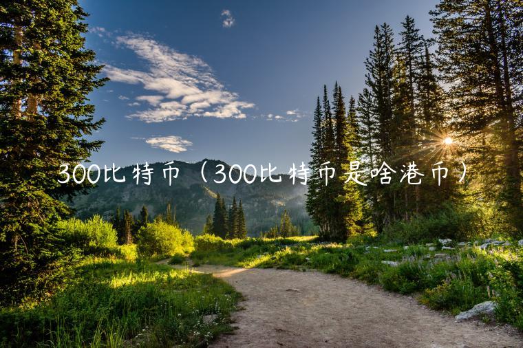 300比特币（300比特币是啥港币）-第1张图片-binance下载