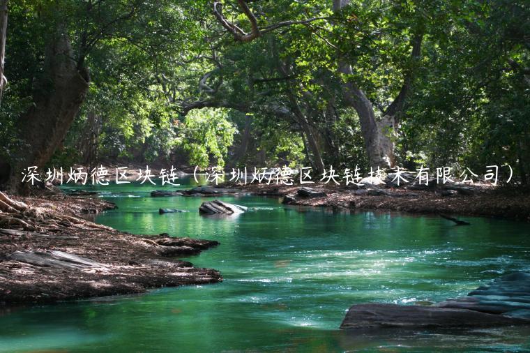 深圳炳德区块链（深圳炳德区块链技术有限公司）-第1张图片-binance下载