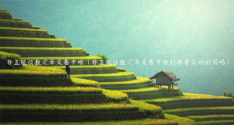非正规位数汇率交易市场（非正规位数汇率交易市场到账要交纳的国吗）-第1张图片-binance下载