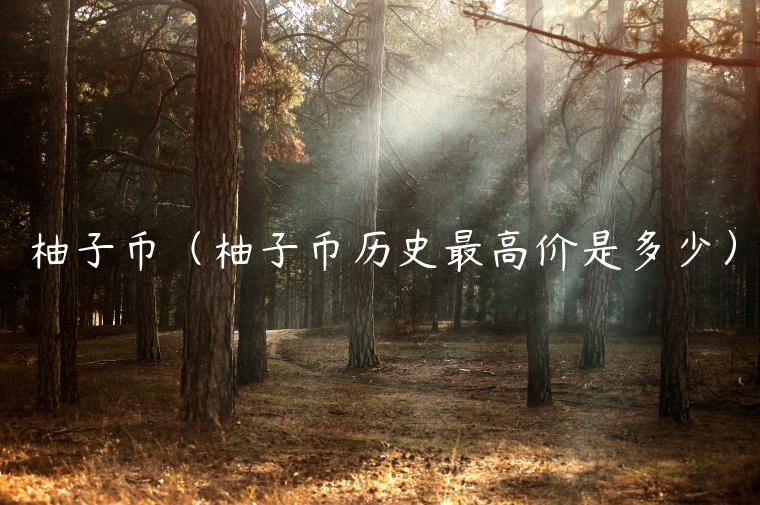 柚子币（柚子币历史最高价是多少）-第1张图片-binance下载