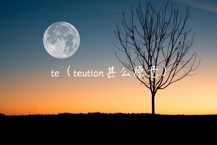 t（tution甚么原意）-第1张图片-binance下载