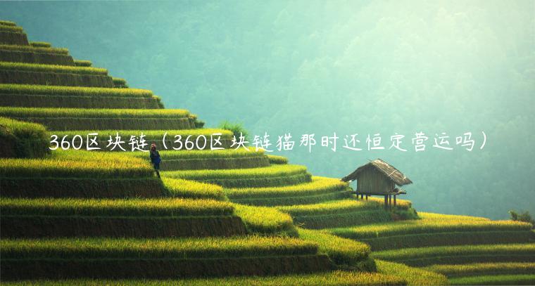 360区块链（360区块链猫那时还恒定营运吗）-第1张图片-binance下载