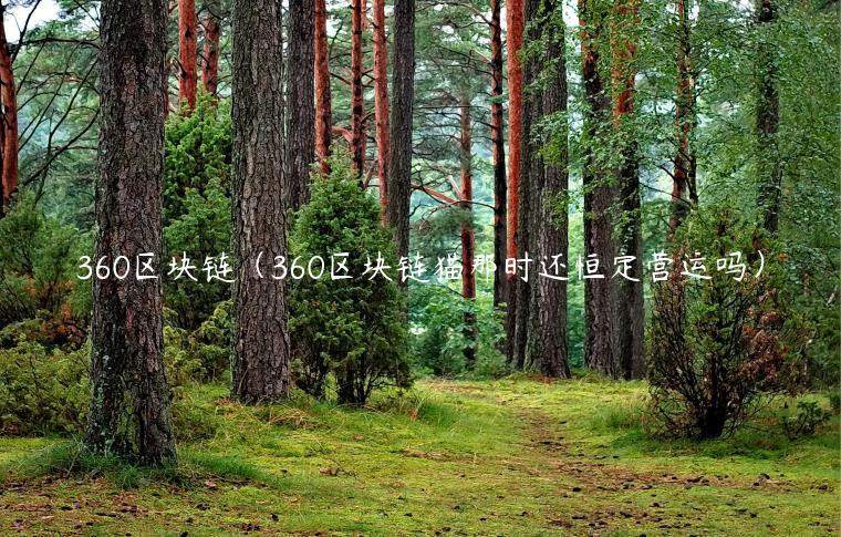 360区块链（360区块链猫那时还恒定营运吗）-第1张图片-binance下载