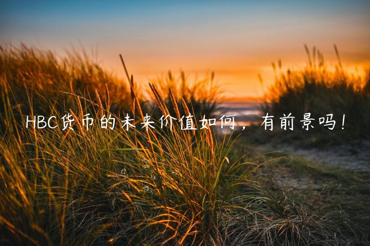 HBC货币的未来价值如何，有前景吗！-第1张图片-binance下载