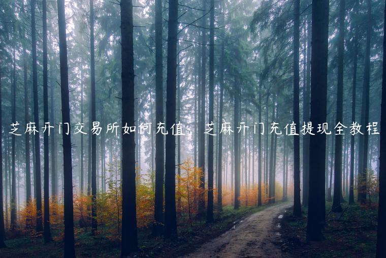 芝麻开门交易所如何充值，芝麻开门充值提现全教程-第1张图片-binance下载