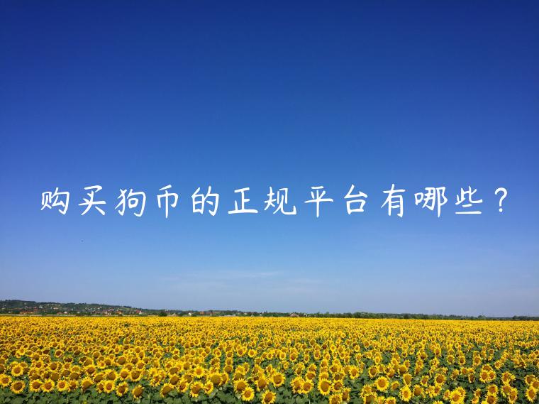 购买狗币的正规平台有哪些？-第1张图片-binance下载
