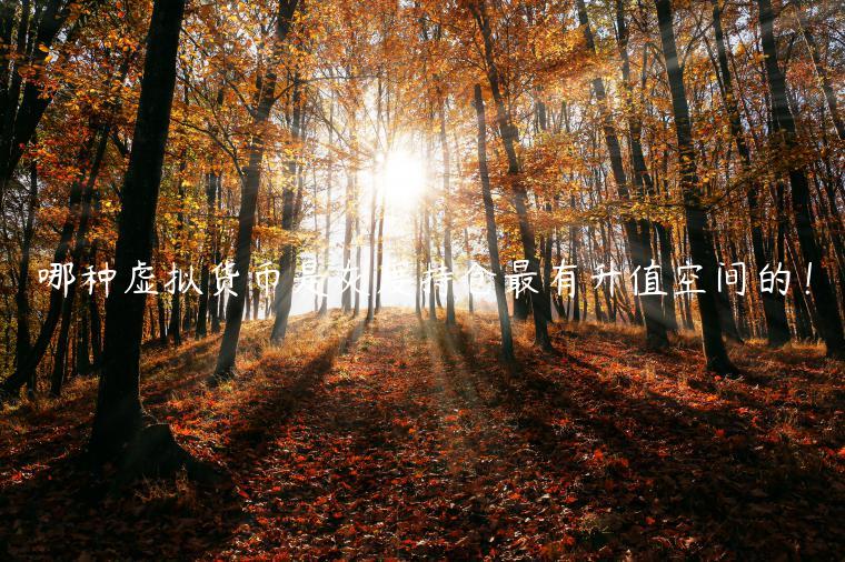 哪种虚拟货币是灰度持仓最有升值空间的！-第1张图片-binance下载