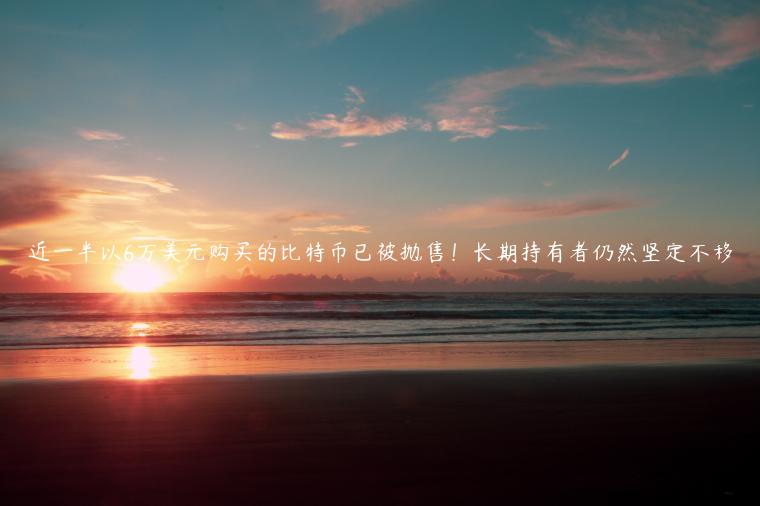 近一半以6万美元购买的比特币已被抛售！长期持有者仍然坚定不移-第1张图片-binance下载