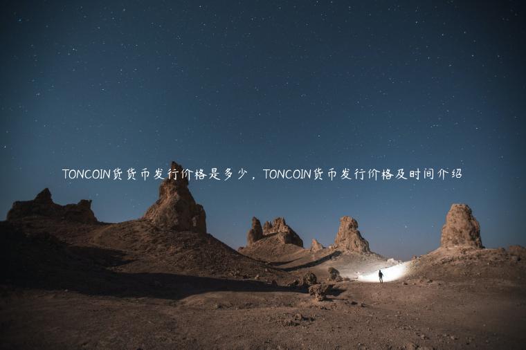 TONCOIN货货币发行价格是多少，TONCOIN货币发行价格及时间介绍-第1张图片-binance下载