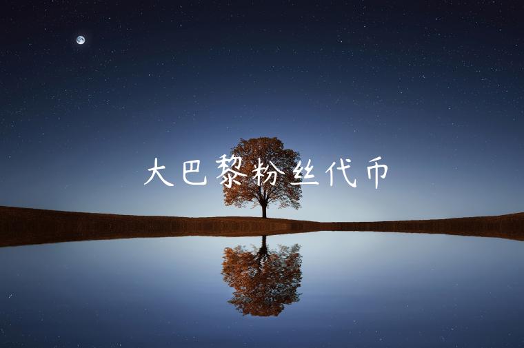 大巴黎粉丝代币-第1张图片-binance下载