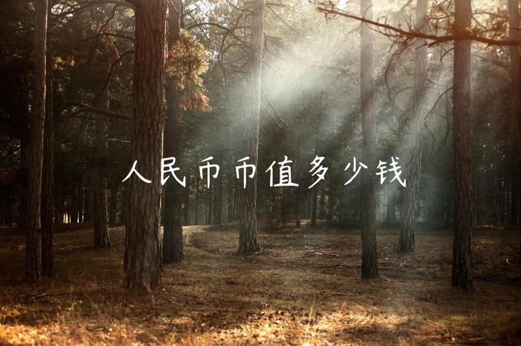 人民币币值多少钱-第1张图片-binance下载