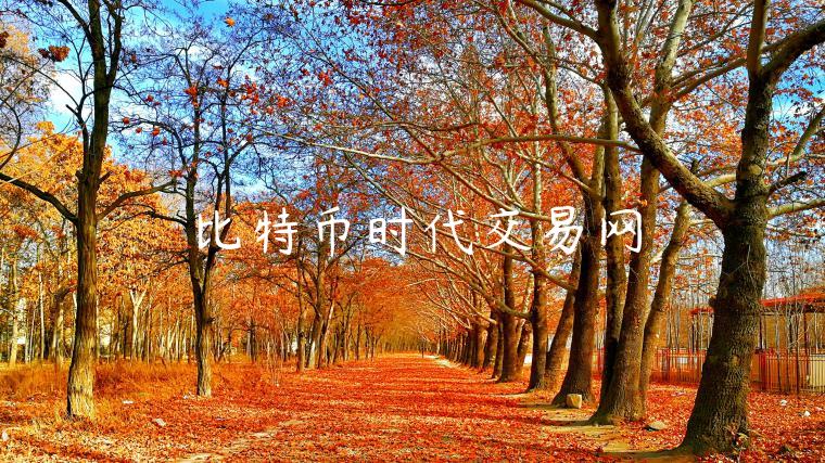 比特币时代交易网-第1张图片-binance下载