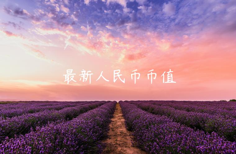 最新人民币币值-第1张图片-binance下载