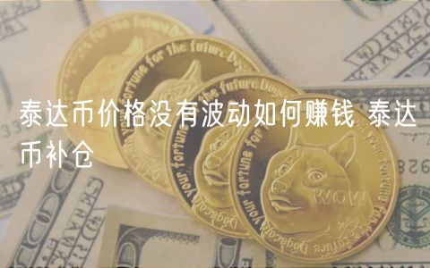 泰达币价格没有波动如何赚钱 泰达币补仓-第1张图片-binance下载