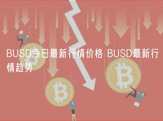 BUSD今日最新行情价格 BUSD最新行情趋势-第1张图片-binance下载