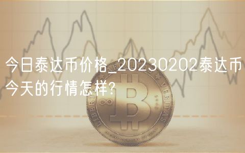 今日泰达币价格_20230202泰达币今天的行情怎样?-第1张图片-binance下载