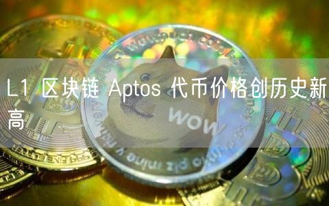 L1 区块链 Aptos 代币价格创历史新高-第1张图片-binance下载