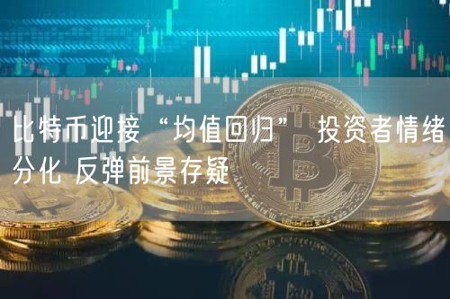 比特币迎接“均值回归” 投资者情绪分化 反弹前景存疑-第1张图片-binance下载
