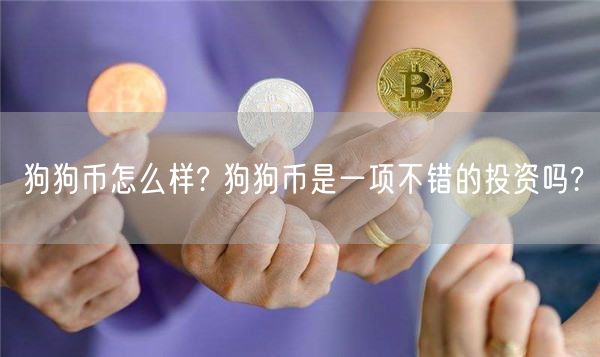 狗狗币怎么样? 狗狗币是一项不错的投资吗?-第1张图片-binance下载