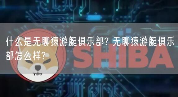 什么是无聊猿游艇俱乐部? 无聊猿游艇俱乐部怎么样?-第1张图片-binance下载